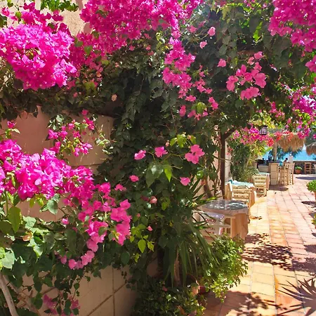 The Boathouse 3* Kamári